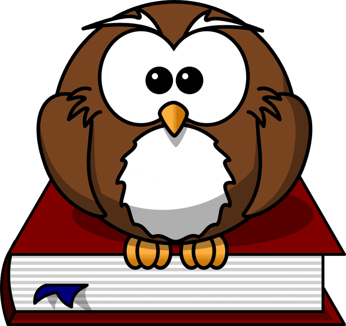 Owl on a book