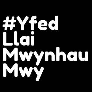 Yfed Llai Mwynhau Mwy