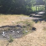 Wrexham Parks Erddig Litter Picnic