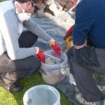FIDEO: Gweithwyr dan hyfforddiant yn mynd i’r afael â morter calch