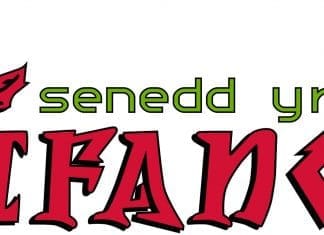 Senedd yr Ifanc