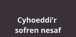 Cyhoeddi’r sofren nesaf