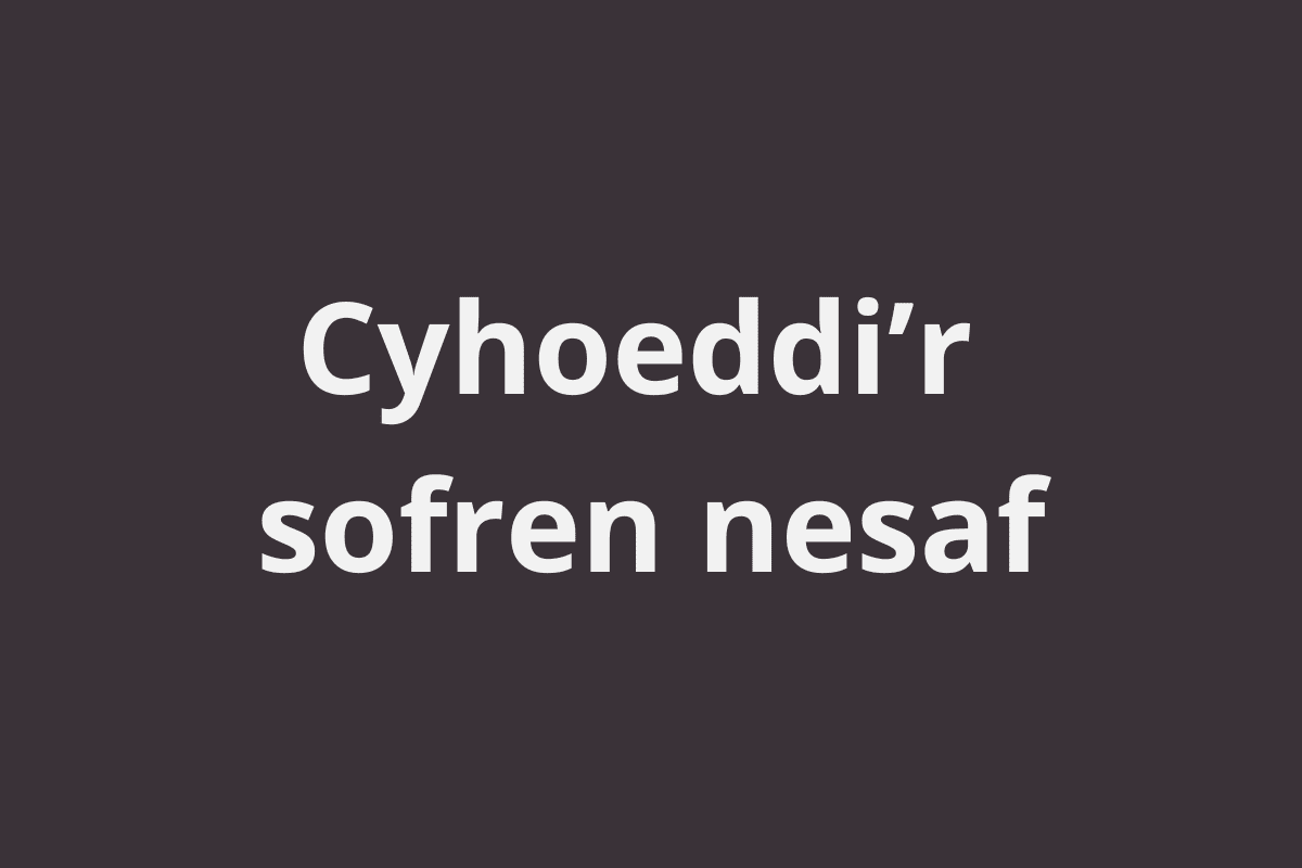 Cyhoeddi’r sofren nesaf