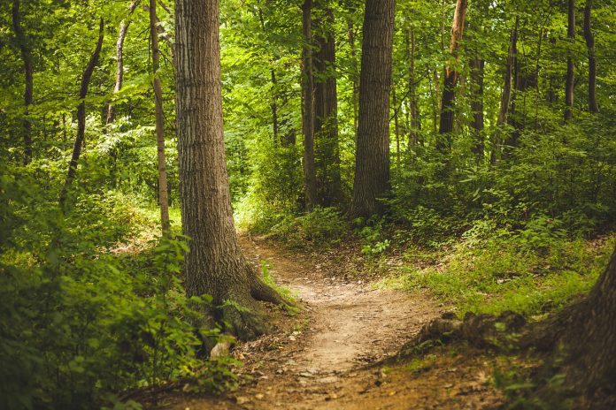 Woodland Trust