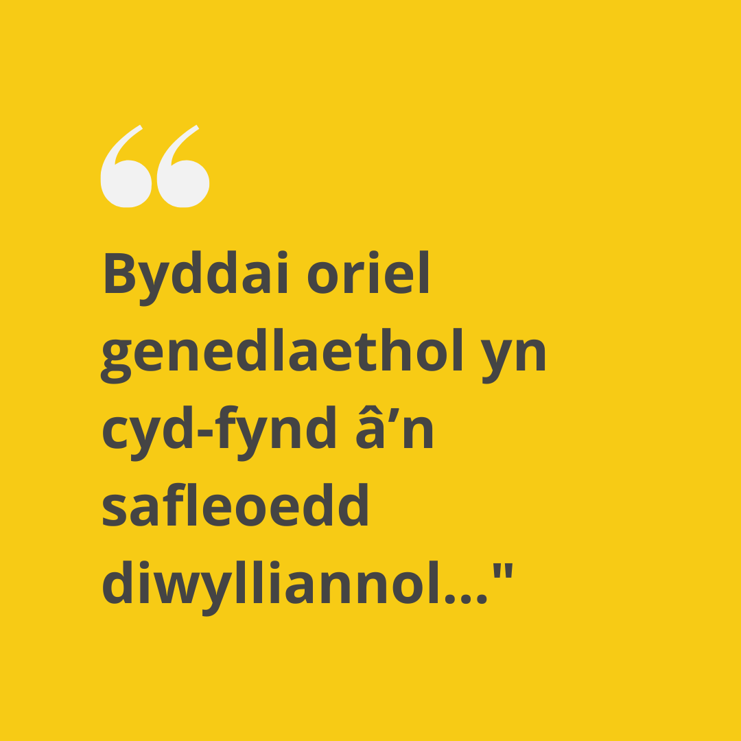 Byddai oriel genedlaethol yn cyd-fynd â’n safleoedd diwylliannol