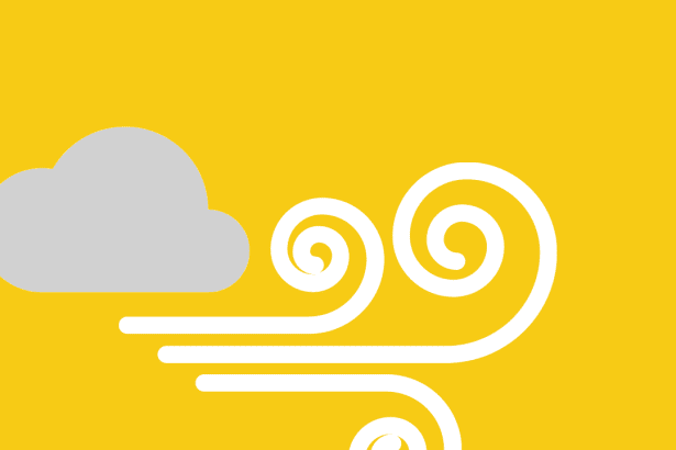 Windy weather