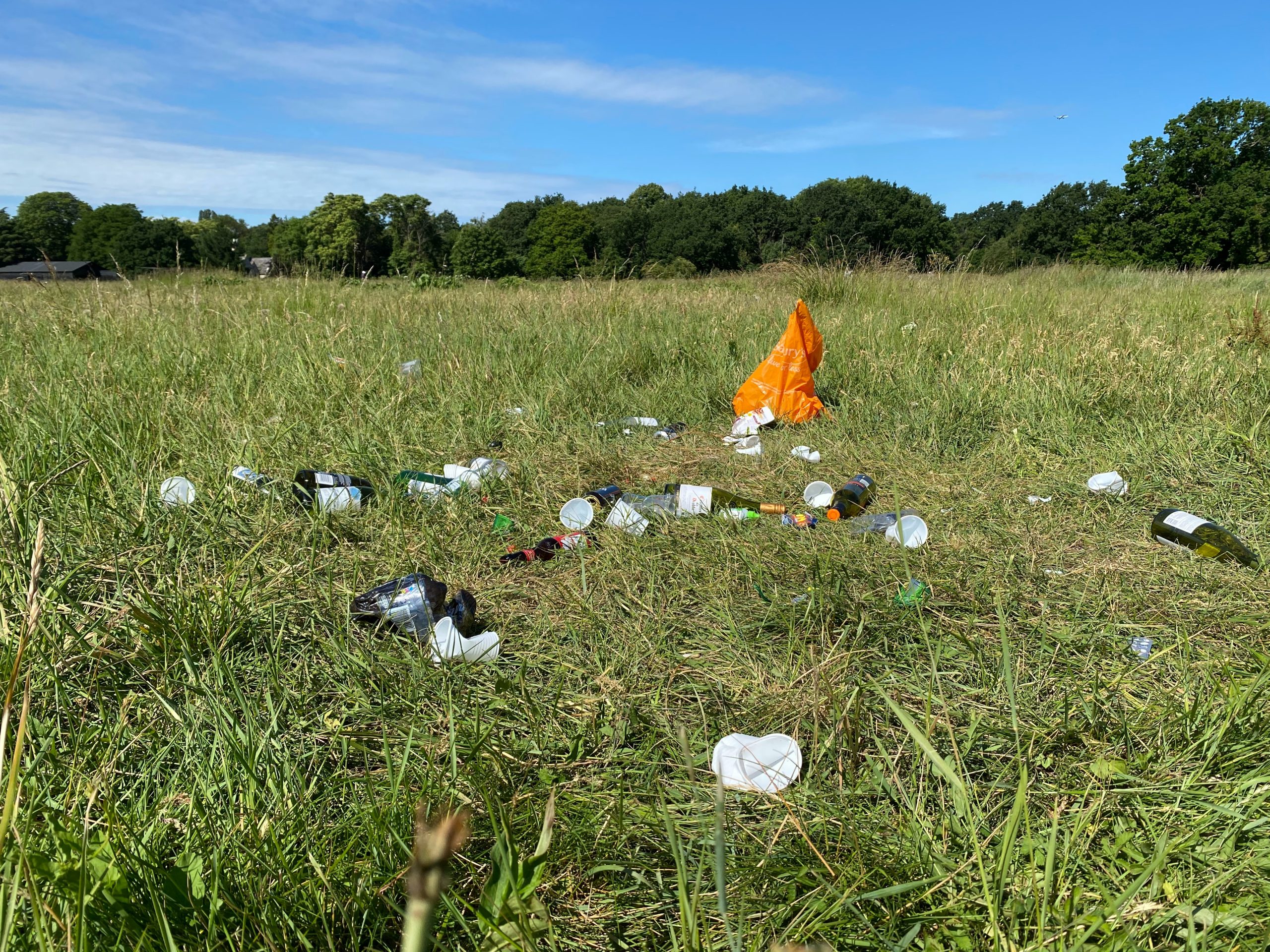Litter