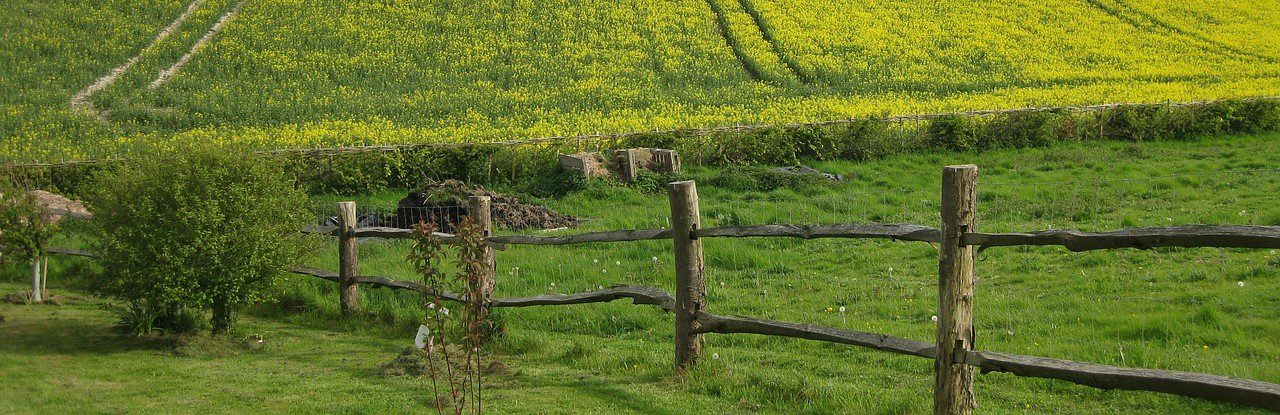 boundary