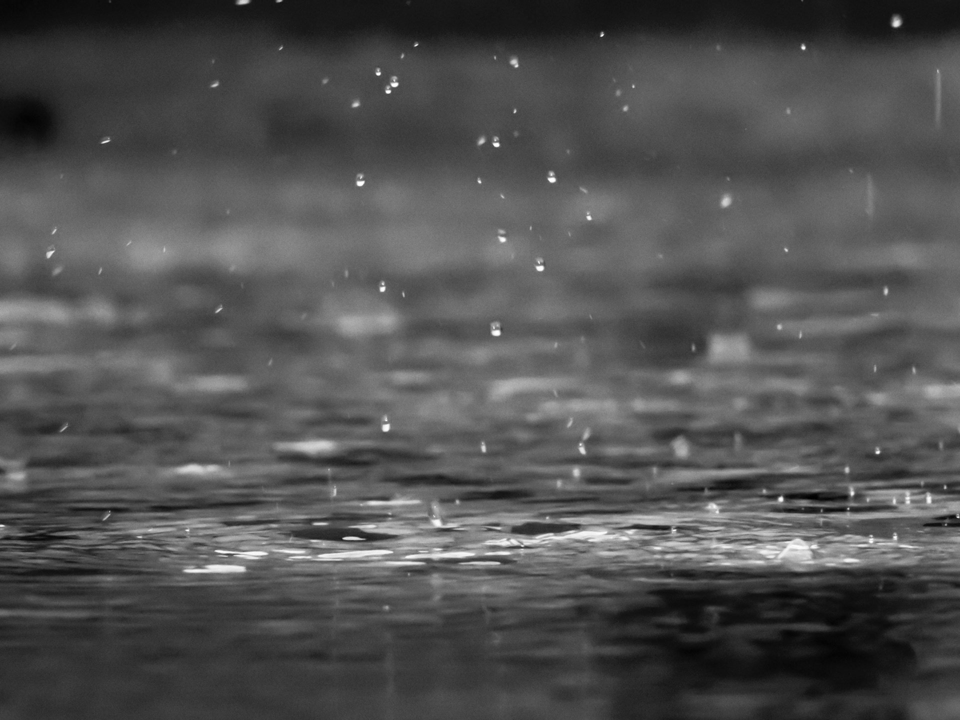 Rain drops / wet weather