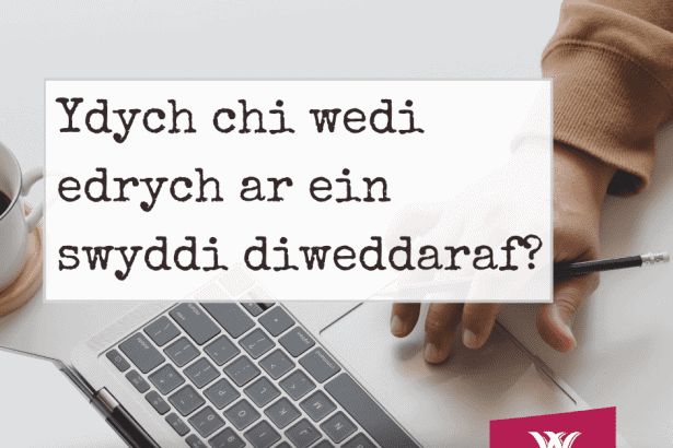 Allech chi wneud unrhyw un o'r swyddi hyn?