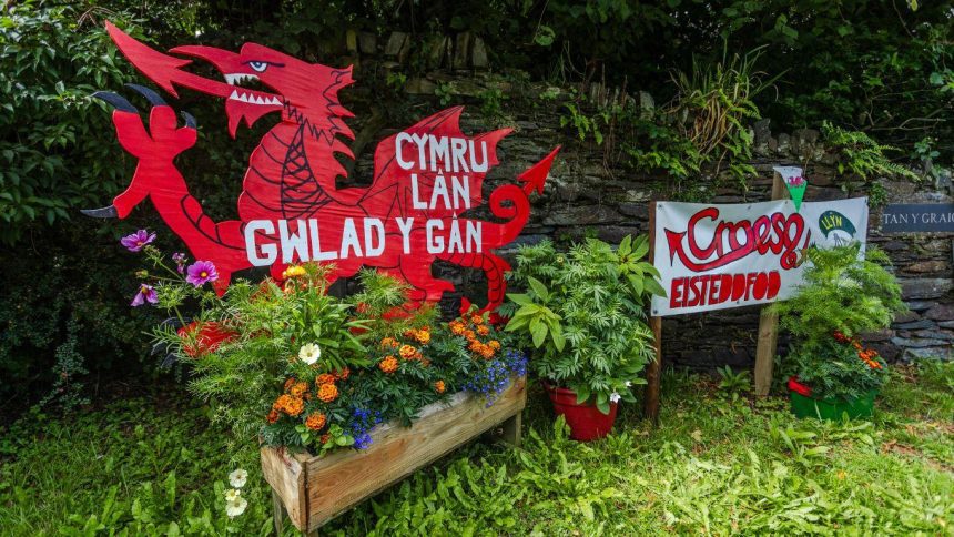 Sut i ddod yn rhan o dîm harddu Eisteddfod Wrecsam 2025