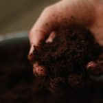 Compost
