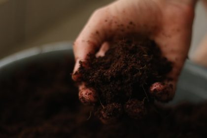 Compost