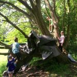 Arolwg Chwarae Wrecsam ar gyfer Rhieni a Gofalwyr 2025