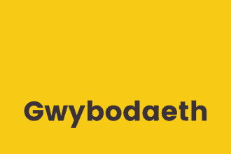 Gwybodaeth