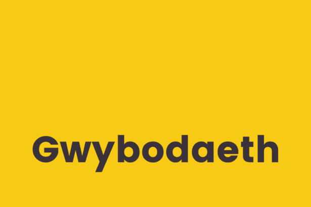Gwybodaeth