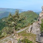 Glyndwr National Park