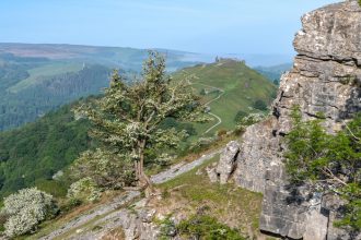 Glyndwr National Park