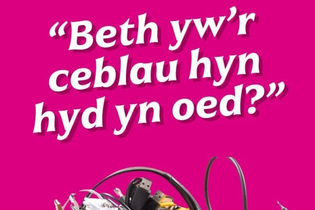 Ailgylchu eich ceblau diangen