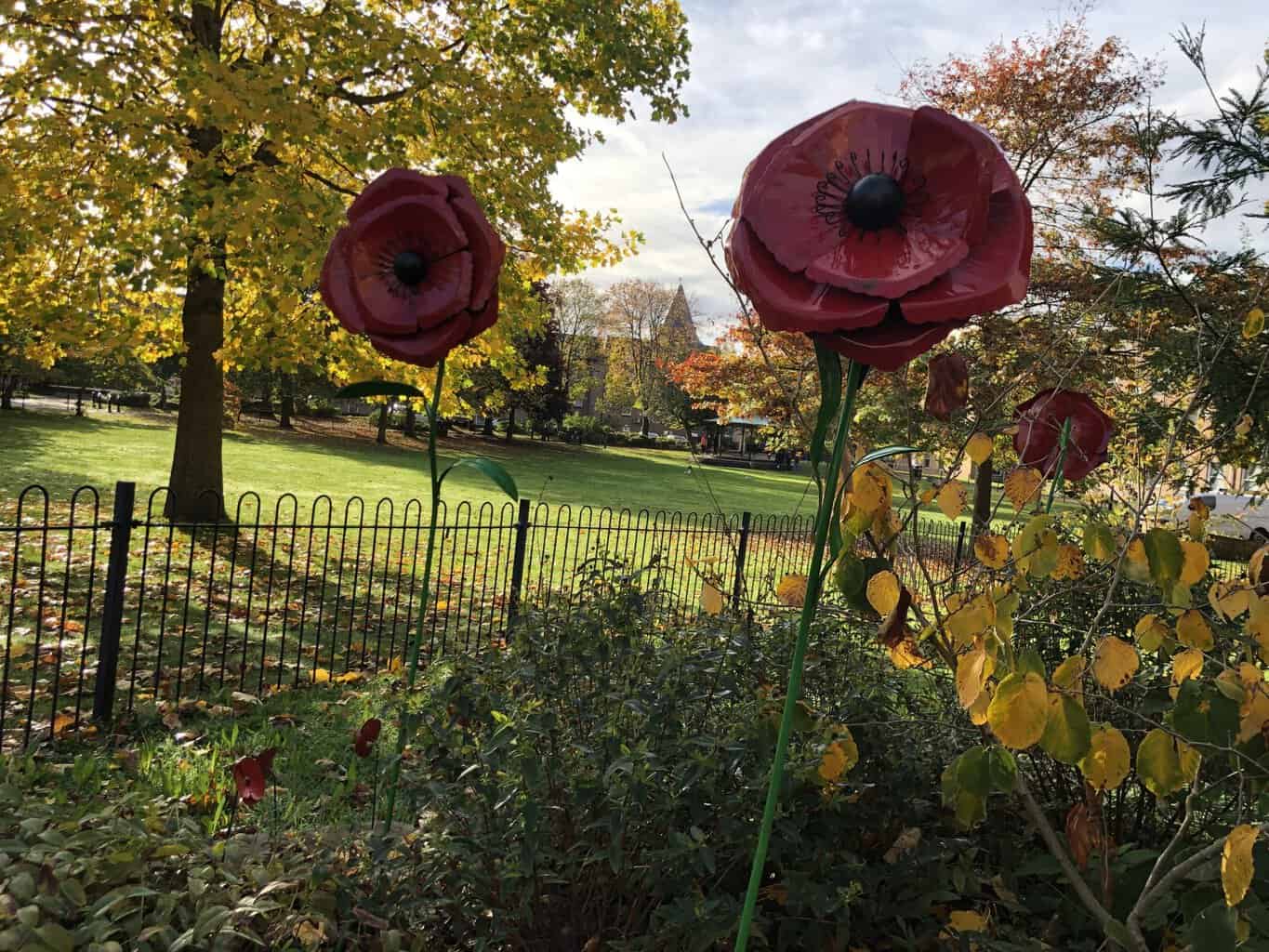 Metal poppy displays on the library field
