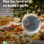 10 awgrym am ddiogelwch a hylendid bwyd dros Nadolig