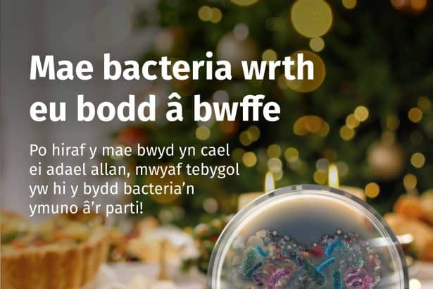 10 awgrym am ddiogelwch a hylendid bwyd dros Nadolig