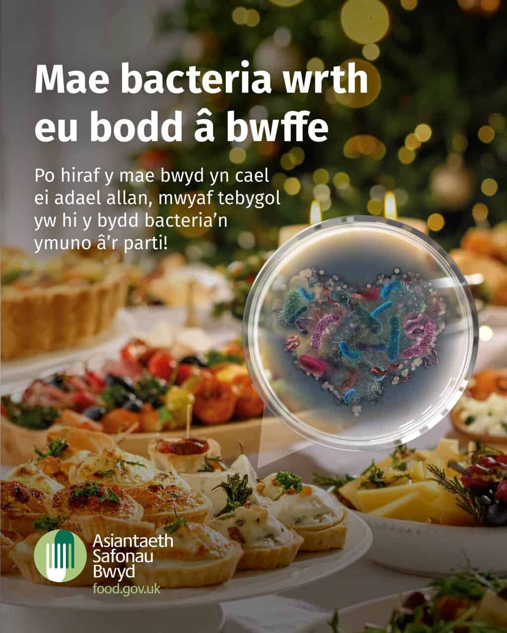10 awgrym am ddiogelwch a hylendid bwyd dros Nadolig