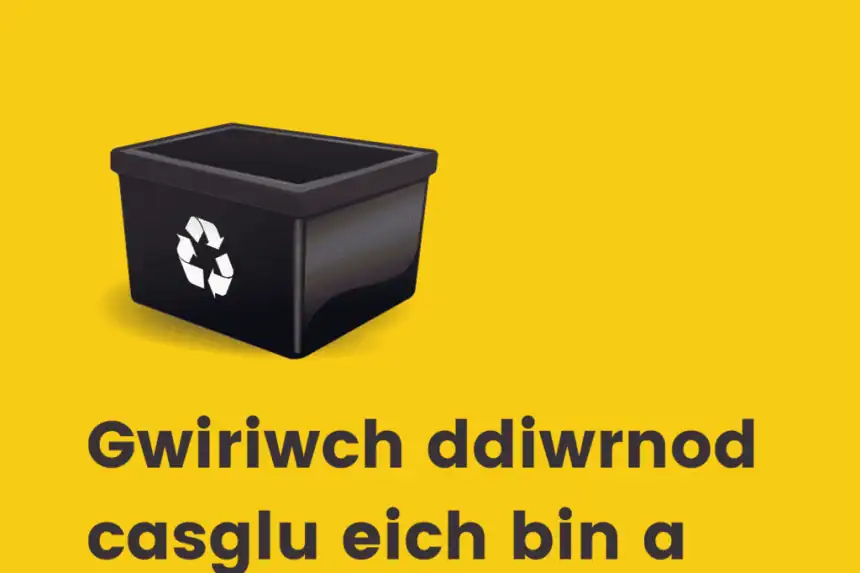 ddiwrnod y cesglir eich biniau