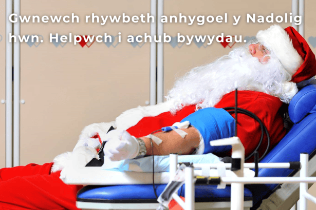 Welsh Blood Service Christmas Appeal Poster