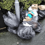 Fly-tipping next to public litter bins