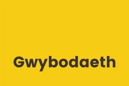 Diweddariad ar safle tirlenwi Hafod – Tachwedd 2025