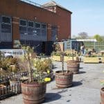 Tŷ Pawb yn croesawu gwirfoddolwyr yn ôl i’r Ardd ar y To!