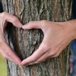 Heart tree - love your environment this Valentine's Day