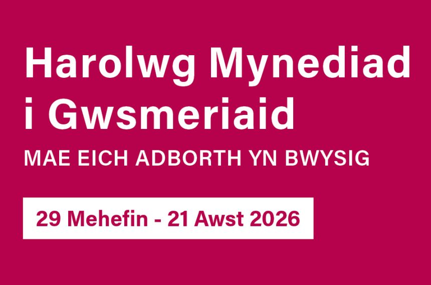 Cwblhewch yr arolwg hwn a helpwch ni i wella ein gwasanaethau – mae eich barn yn bwysig