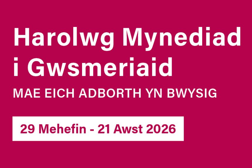 Cwblhewch yr arolwg hwn a helpwch ni i wella ein gwasanaethau – mae eich barn yn bwysig