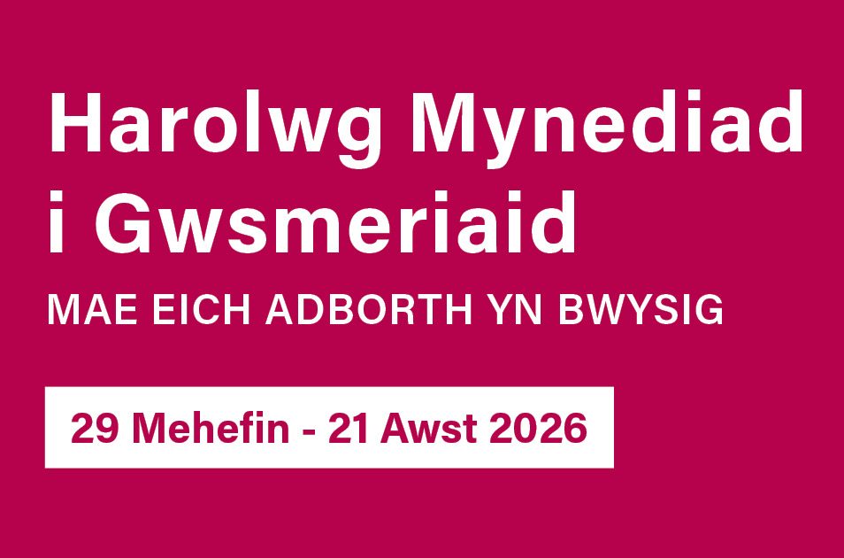 Cwblhewch yr arolwg hwn a helpwch ni i wella ein gwasanaethau – mae eich barn yn bwysig