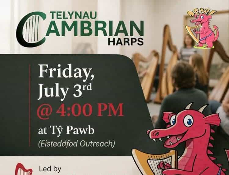 Rhowch gynnig ar y delyn yn Tŷ Pawb dydd Gwener yma!