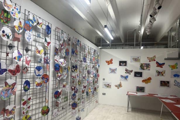 Butterfly trail entries displayed at Tŷ Pawb