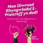 Ailgylchwch eich ceblau diangen ar gyfer Diwrnod Rhyngwladol E-Wastraff 2026