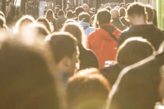 Could you be a councillor?